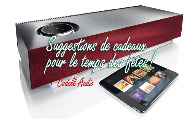 You are currently viewing <!--:fr-->Codell Audio vous suggère le Naim Mu-so<!--:-->