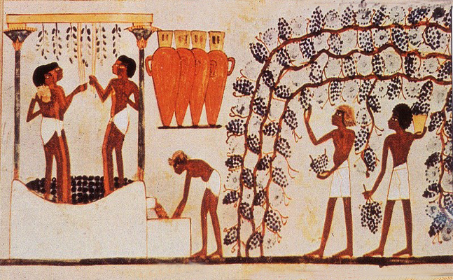 Lire la suite à propos de l’article Petite histoire du Vin…