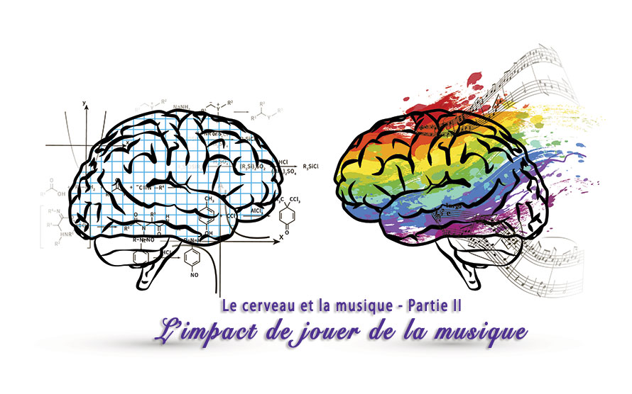 You are currently viewing Le cerveau et la musique – partie II
