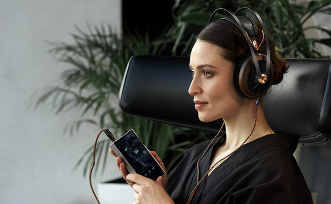 Read more about the article Meze 109PRO Headphones